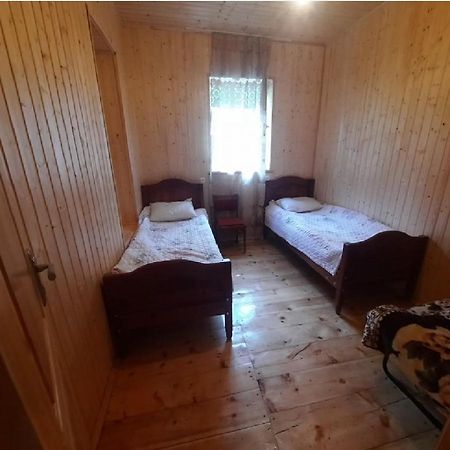 Nino & Tarzan Guesthouse Adishi 外观 照片
