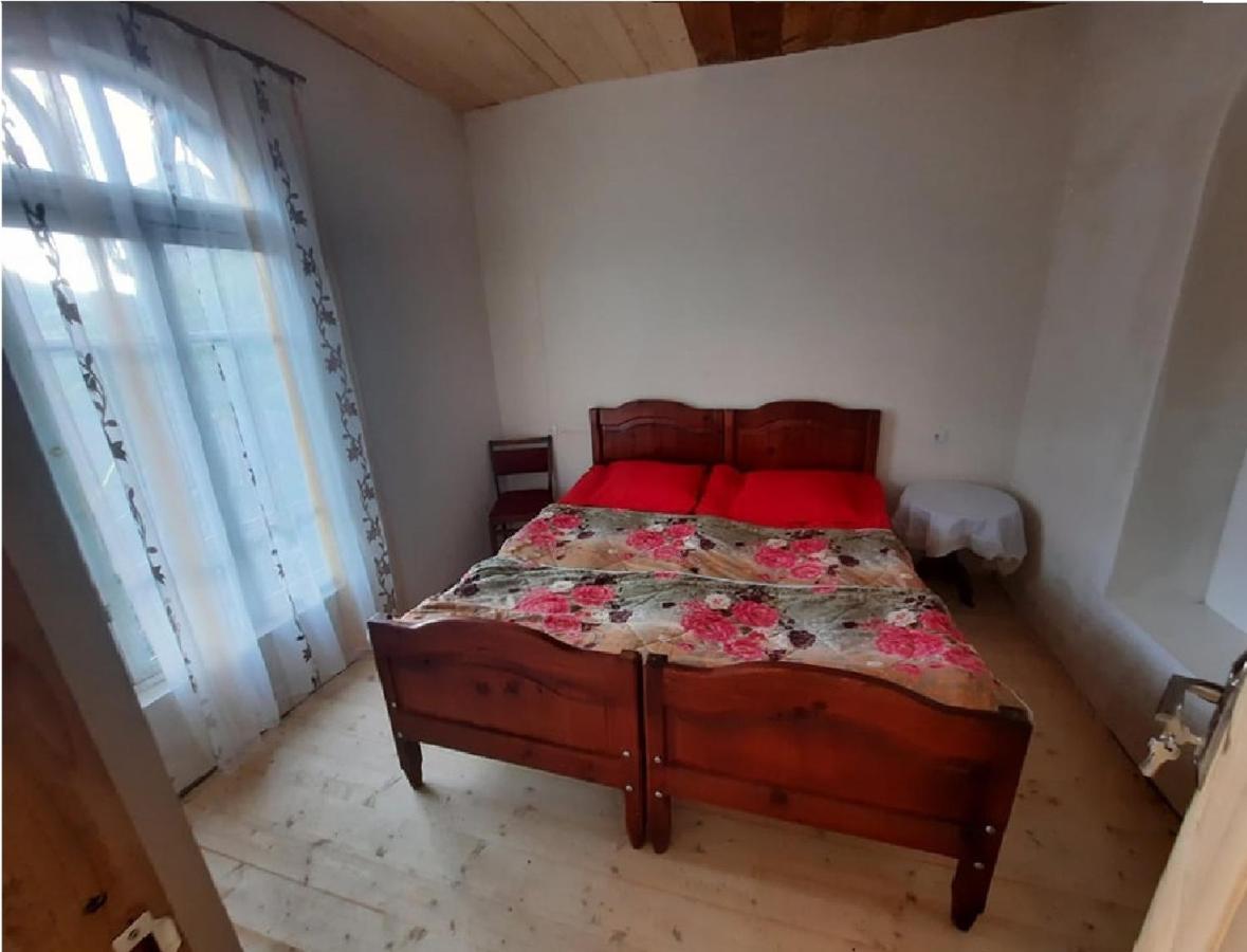 Nino & Tarzan Guesthouse Adishi 外观 照片