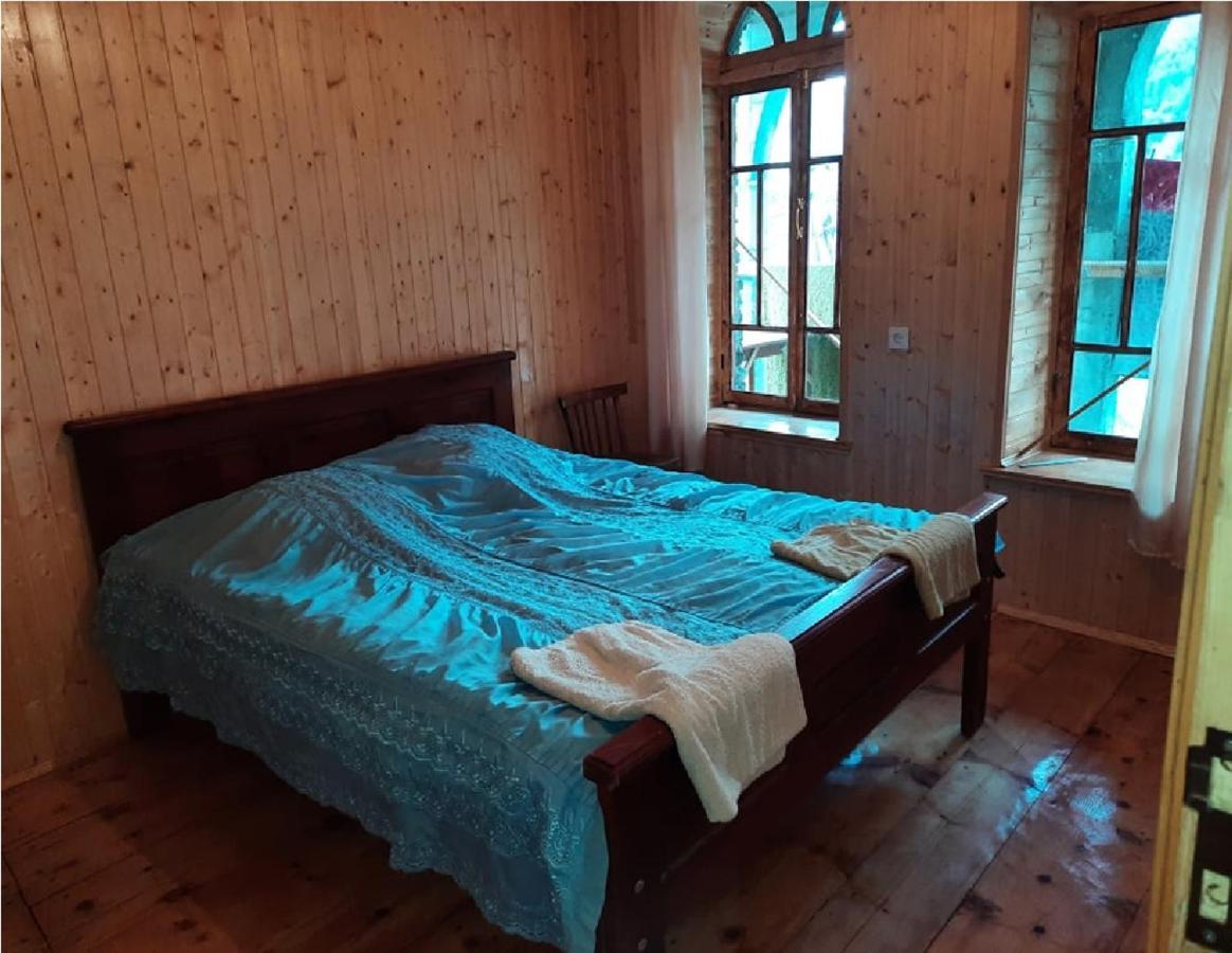 Nino & Tarzan Guesthouse Adishi 外观 照片